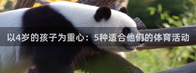 3377体育是正规平台吗：以4岁的孩子为重心：5种适合他们的体育活动