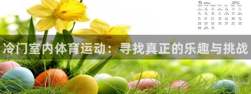 3377体育是正规的吗：冷门室内体育运动：寻找真正的乐趣与挑战