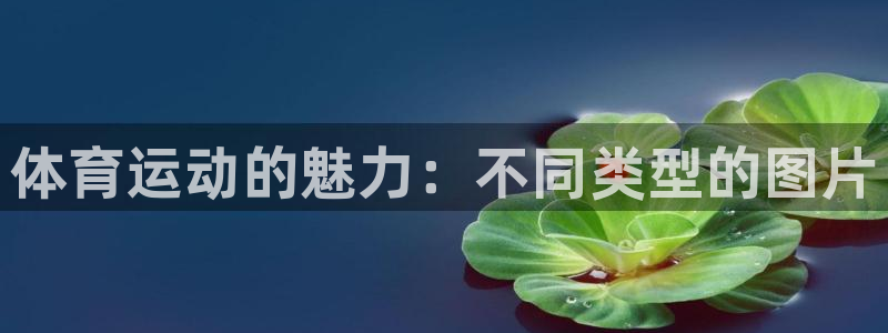 3377体育在线：体育运动的魅力：不同类型的图片