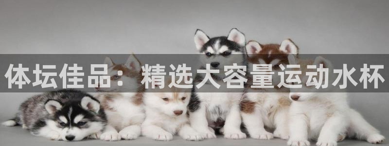 3377体育app下载安装：体坛佳品：精选大容量运动水杯