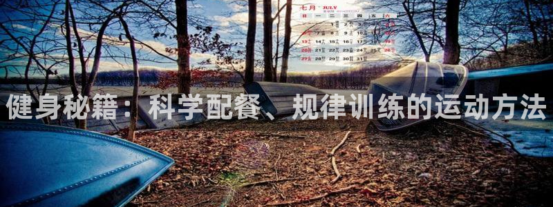 3377体育app登录入口：健身秘籍：科学配餐、规律训练的运动方法