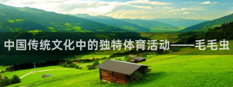 3377体育app官方下载：中国传统文化中的独特体育活动——毛毛虫