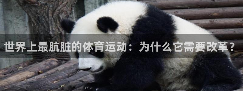 3377体育官网：世界上最肮脏的体育运动：为什么它需要改革？
