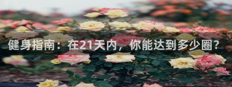 3377体育中国官方网站入口：健身指南：在21天内，你能达到多少圈？