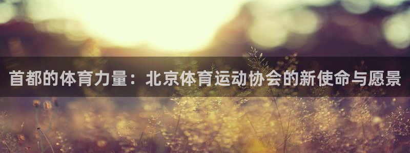 3377体育：首都的体育力量：北京体育运动协会的新使命与愿景