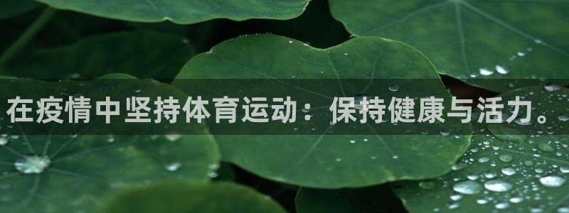 3377体育官网下载