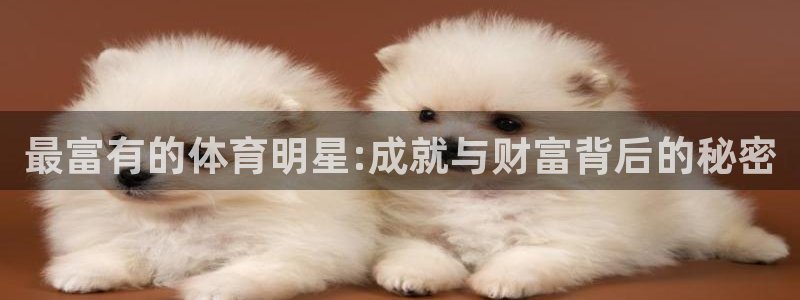 3377体育官网入口网页版：最富有的体育明星:成就与财富背后的秘密