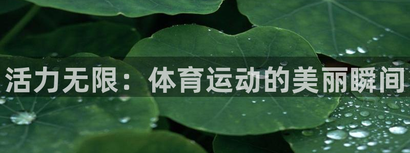 3377体育：活力无限：体育运动的美丽瞬间