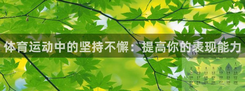 3377体育(中国)官方网站：体育运动中的坚持不懈：提高你的表现能力