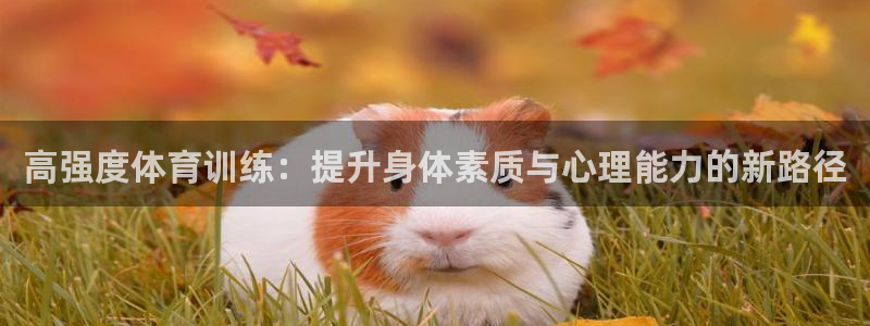 3377体育app下载安装：高强度体育训练：提升身体素质与心理能力的新路径