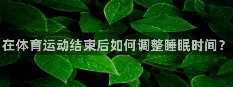 3377体育官方app下载：在体育运动结束后如何调整睡眠时间？