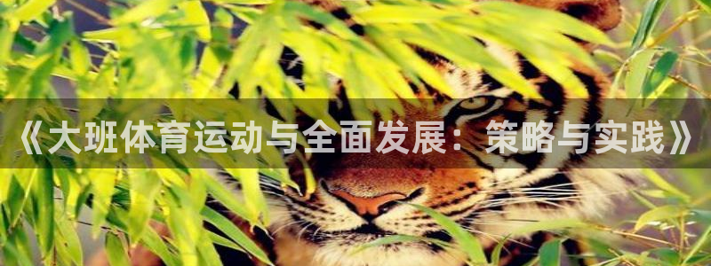 3377体育中国官方网站入口