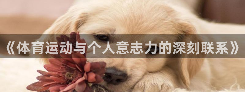 3377体育官网下载：《体育运动与个人意志力的深刻联系》