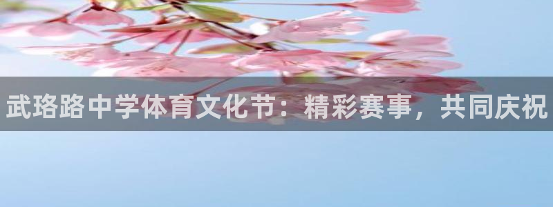 3377体育是正规的吗：武珞路中学体育文化节：精彩赛事，共同庆祝
