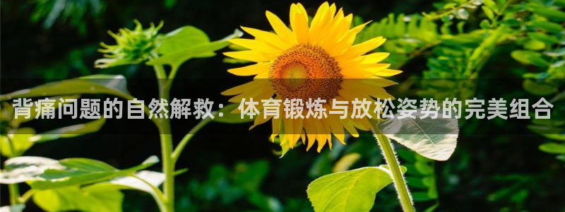 3377体育网页登录入口：背痛问题的自然解救：体育锻炼与放松姿势的完美组合