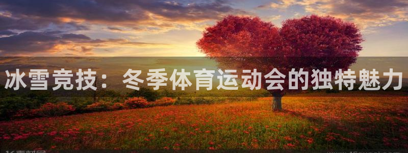 3377体育是正规的吗：冰雪竞技：冬季体育运动会的独特魅力