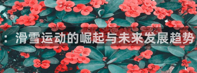 3377体育app下载安装：：滑雪运动的崛起与未来发展趋势